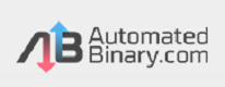 Automated Binary Logo