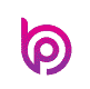 BidderProfits Logo