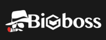 BigBoss Financial Logo