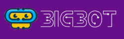 Big Bot Limited Logo