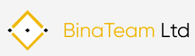 Bina Team Logo