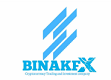 BinakFX Logo
