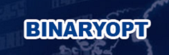 BinaryOpt Logo