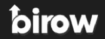 Birow.net Logo