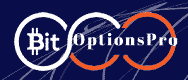 Bit Options Pro Logo