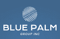 BluePalm.group Logo