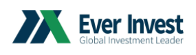 Everinvest.org Logo