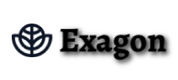 Exagon Investments Limited Logo