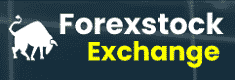 ForexStockExchange.com Logo