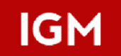 IGM Holdings Logo