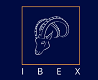 IBEX Trading Engine (parnassusgroupllc.com) Logo