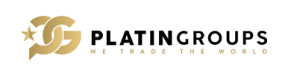 PlatinGroups Logo