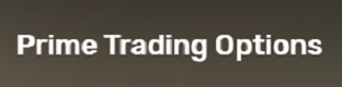 Prime Trading Options Logo