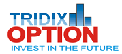 Tridix Option Logo