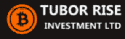 TurboRising.com Logo