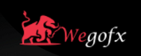 WegoFx Logo