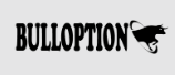 BullOption Logo