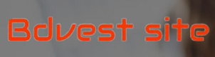 Bdvest Site Logo