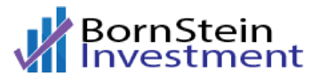 Bornstein Investment Logo