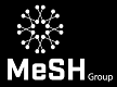 MESH-GROUP Logo