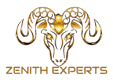 Zenith Experts Logo