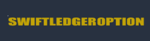 SwiftLedgerOption Logo