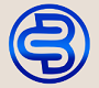 BitIndexCapital Logo