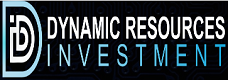 DynamicResourcesInvestment Logo