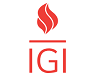 IGGlobalandSavings Logo