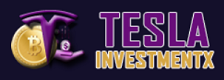 TeslaInvestmentx Logo